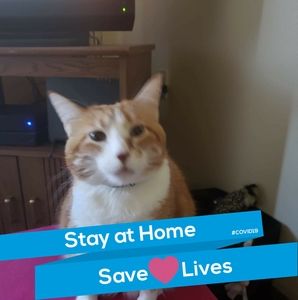 Meet your Posher, Deb